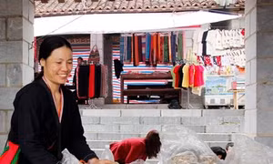 Làng làm nghề thầy lang của người Dao ở Ba Vì
