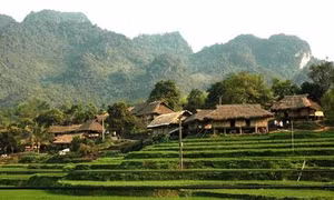 Nhà ở của người Mường Phú Thọ