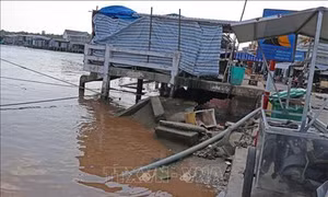 Cà Mau ban bố tình huống khẩn cấp sạt lở bờ biển Đông