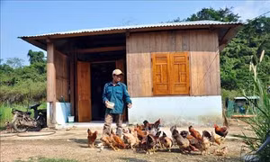 Huyện Nam Giang xây dựng Làng thanh niên lập nghiệp thành khu dân cư nông thôn kiểu mẫu