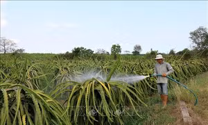 Người dân vùng cao Thuận Hòa thiếu nước sạch trong mùa khô