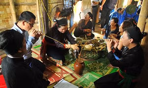 Hỗ trợ phát triển kinh tế - xã hội đồng bào dân tộc Ơ đu, Nghệ An