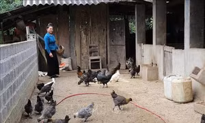 Yên Bái: Khởi sắc nông thôn mới vùng cao