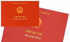 Thêm sáu trường đại học phải dừng cấp chứng chỉ ngoại ngữ, tin học