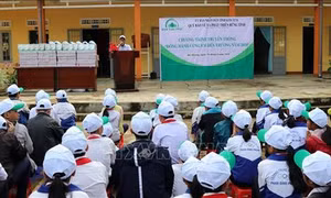 Kon Tum tuyên truyền chính sách bảo vệ rừng đến học sinh