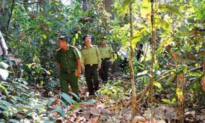 Trên 58.000 ha rừng tại Tây Ninh đang ở dự báo cấp cháy rừng cực kỳ nguy hiểm