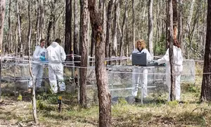 Nhà khoa học Australia chứng minh cơ thể người chết vẫn có thể chuyển dịch