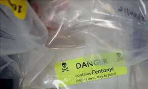 Cảnh báo về tình trạng bác sĩ Mỹ lạm dụng thuốc giảm đau Fentanyl trong kê đơn