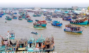 Sông Đốc sôi động