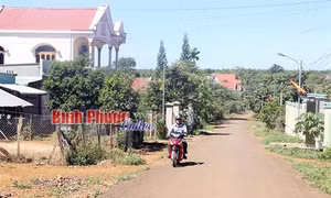 Sức sống mới ở vùng đất Phú Sơn