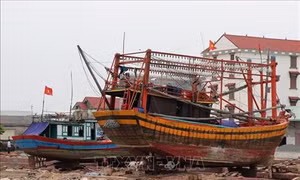 Bất cập khi triển khai Nghị định 67: Nhiều con tàu nằm bờ