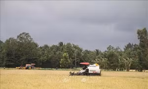 Trà Vinh phấn đấu có thêm 10 xã và 1 huyện đạt chuẩn nông thôn mới