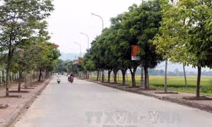 Hỗ trợ xây dựng mô hình sản xuất trong nông thôn mới ở Nghệ An