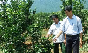 Đổi thay trên quê hương cách mạng Đèo Lũng Lô huyền thoại