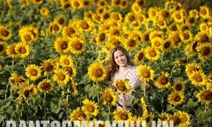 Phát hiện mới về thính giác các loài hoa