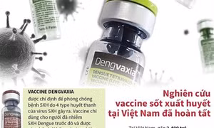 Nghiên cứu vắc-xin sốt xuất huyết tại Việt Nam đã hoàn tất
