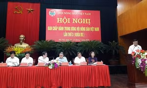 Hội Nông dân Việt Nam tổ chức tốt các hoạt động dịch vụ, tư vấn, dạy nghề, hỗ trợ nông dân