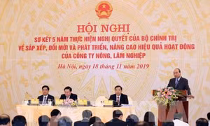 Thủ tướng Nguyễn Xuân Phúc: Đất đai cần được giao cho chủ thể trực tiếp quản lý, sử dụng có hiệu quả