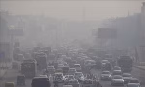 Ô nhiễm không khí làm giảm gần 2 năm tuổi thọ của trẻ em