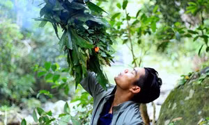 Thần Rừng của người Ba Na