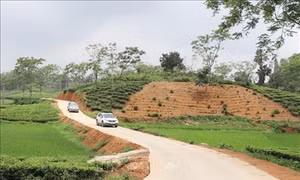 Thái Nguyên tăng chất lượng các tiêu chí ở xã đạt chuẩn nông thôn mới
