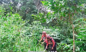 Đường xuân Sín Thầu