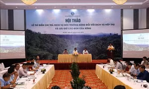 Năm 2020 sẽ có 4 tỉnh thí điểm chi trả dịch vụ hấp thụ và lưu trữ các bon của rừng