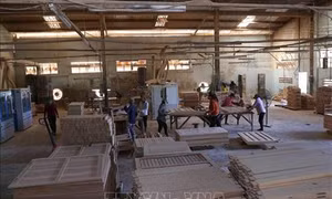 Xuất khẩu lâm sản năm 2019 dự kiến đạt 11,3 tỷ USD - mức cao nhất từ trước đến nay