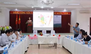 Bảo vệ, khôi phục và phát triển rừng bền vững vùng Tây Nguyên