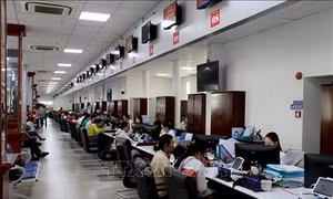 Viên chức trong đơn vị sự nghiệp công lập sẽ phải chuyển sang hợp đồng làm việc có thời hạn