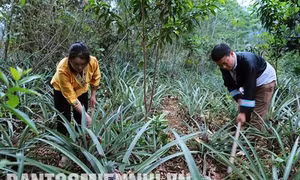 Điểm tựa cho đồng bào Mông nơi vùng biên