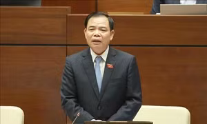 Kỳ họp thứ 8, Quốc hội khóa XIV: Tạo khuôn khổ pháp lý thu hút doanh nghiệp đầu tư vào nông nghiệp