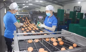 Đồng Nai sẽ đầu tư trên 28.000 tỷ đồng xây dựng Xuân Lộc thành huyện nông thôn mới kiểu mẫu