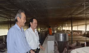 Ông Phạm Ngọc Thành - Tỷ phú giữa vùng quê xứ Quảng
