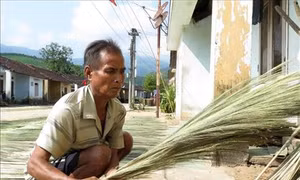 Đồng bào Cor bước vào mùa “tiên”