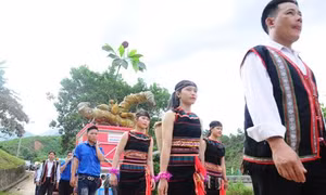 Khai mạc Lễ hội Sâm Ngọc Linh lần thứ III-2019