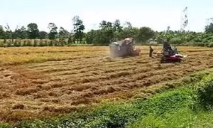 Những đảng viên nêu gương vượt khó, làm giàu ở Kiên Giang