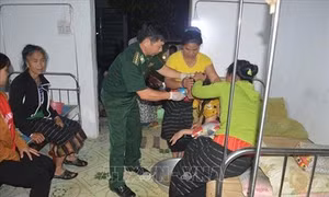 Nghệ An cứu sống nạn nhân ngộ độc lá ngón