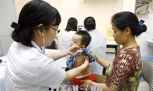  Cà Mau sẽ tiêm bổ sung vắc xin sởi - Rubella cho gần 65.000 trẻ 