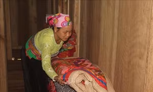 Xuân về với đồng bào vùng lũ Trung Sơn