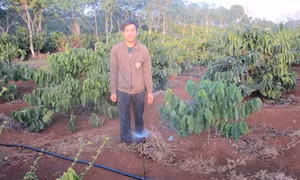Đắk Lắk nhân rộng các mô hình tưới tiên tiến, tiết kiệm nước