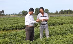 Đổi thay trên cửa ngõ vùng Đồng Tháp Mười