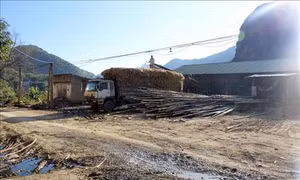 Vùng rốn lũ Quan Hóa đang hồi sinh
