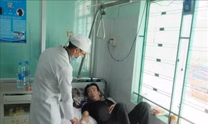 Sốt xuất huyết diễn biến phức tạp ở Khánh Hòa
