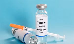 Phát hiện vaccine chống sốt vàng hữu dụng với Zika