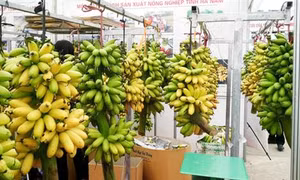 7 món đặc sản nhắc đến là thèm của Hà Nam