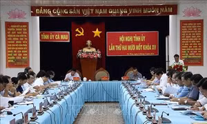 Đẩy mạnh các giải pháp thực hiện nhiệm vụ phát triển kinh tế - xã hội