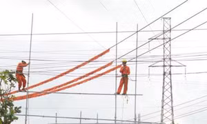 Nâng tải đường dây 110 kV Đăk Hà - Đăk Tô