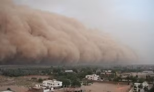 Bụi Sahara, kẻ “phá hoại” mùa hè Caribe