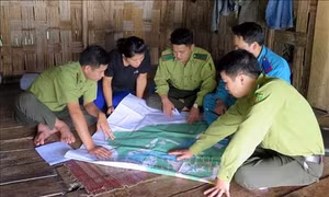 Quy định nhiệm vụ, chế độ, chính sách đối với Kiểm lâm